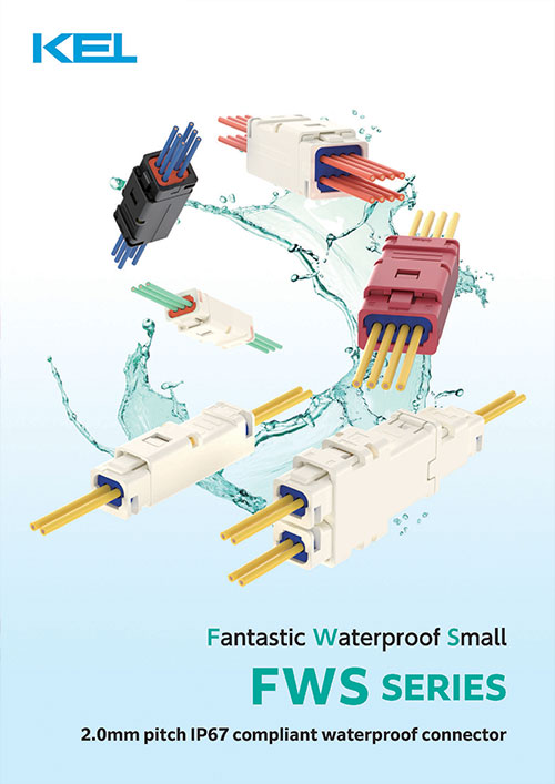 FWS Series Pamphlet